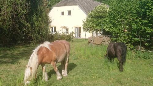 Ferienwohnung am Gutshaus Pamitz