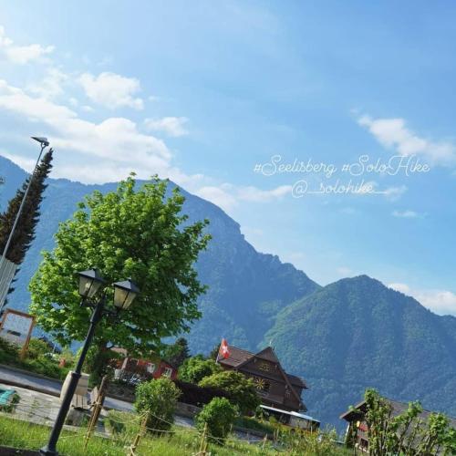 周邊環境, Schöne Ferienwohnung in Traumlage FeWo SoloHike (Schone Ferienwohnung in Traumlage FeWo SoloHike) in 雪利堡