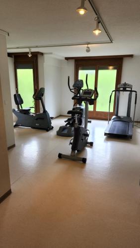 健身中心/健身設施, Schöne Ferienwohnung in Traumlage FeWo SoloHike (Schone Ferienwohnung in Traumlage FeWo SoloHike) in 雪利堡