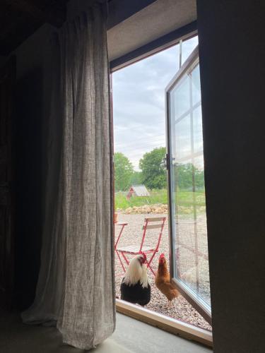 A szálláshely kívülről, Rönnebröd Guesthouse (Ronnebrod Guesthouse) in Sankt Olof