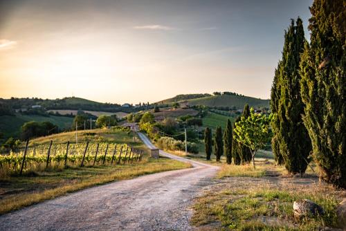 Recchi Franceschini Bike  LAST - MINUTE - AVAILABILITY, Pension in Montalto delle Marche bei Carassai