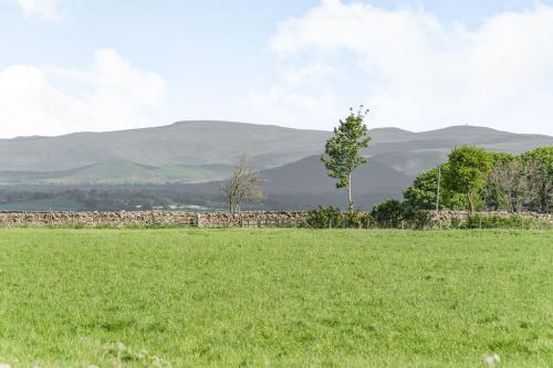 Berts Cottage - image 10