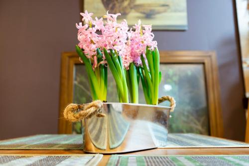 El Rencuentro - image 11