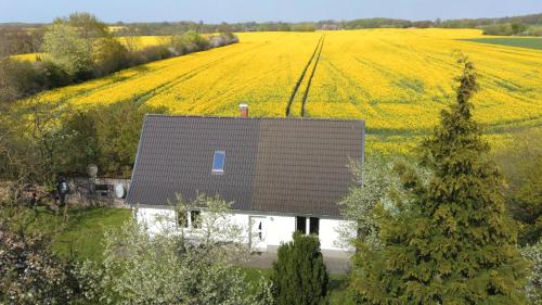 B&B Rehna - Kleines Haus am Feld - Bed and Breakfast Rehna