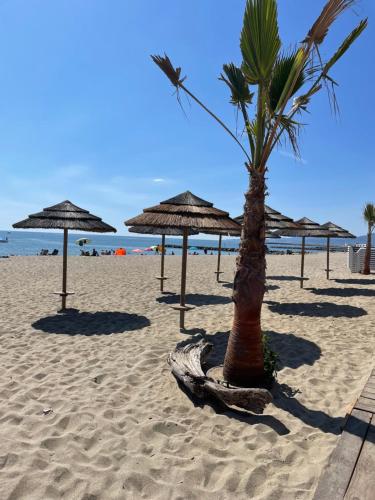 Accommodation in Plage dʼArgelès