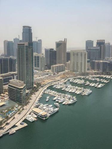Frank Porter - Marina Quays - image 11