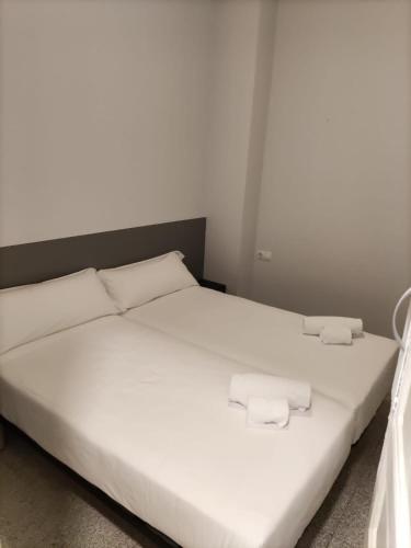 Hotel Monegal - image 11