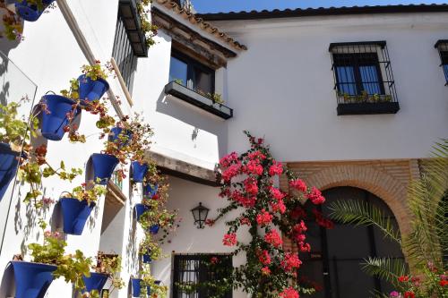Patio San Andrés -2 llaves-, Córdoba