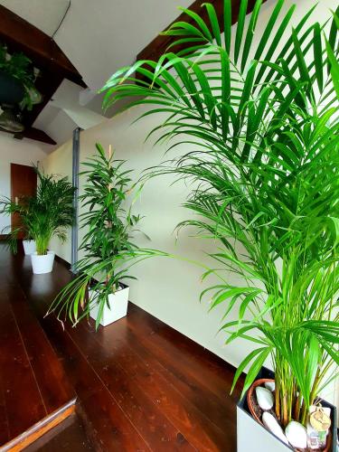 Suite Loft, Zabierzów (foto 5)