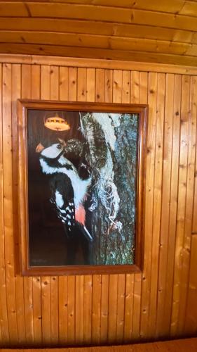 Alyvų Vila - Palanga All House Just For You Alyvų Vila - Palanga All House Just For You