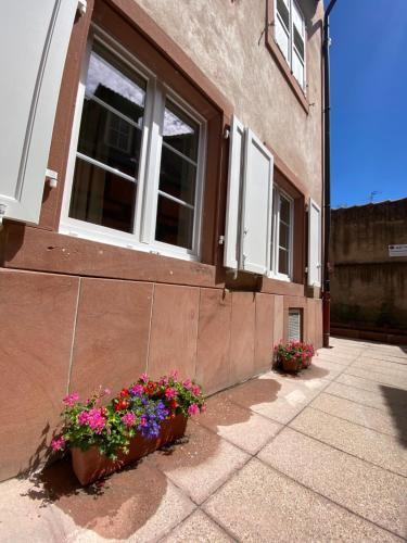 Logement de charme dans un monument historique daté de 1544, au centre de Haguenau - Apartment