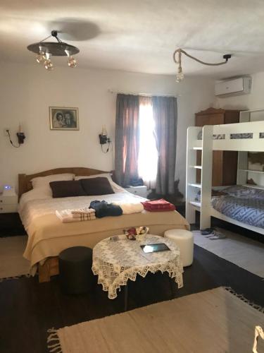 VILA MILICA & SPA ALEKSANDRA in 積米特洛夫格勒