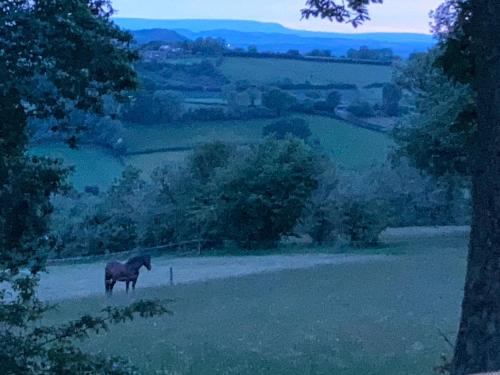 Pet Friendly - 2 Guests - Original Roadsmans Wagon in Longhope