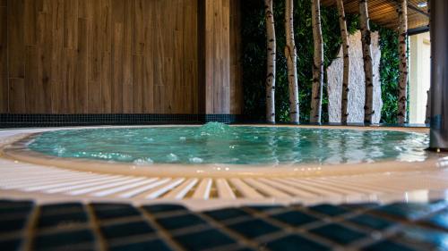 Hotel Grey Spa in Szklarska Poręba