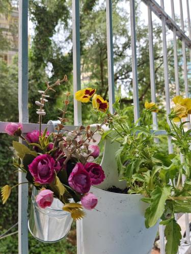 Party guesthouse for big groups, Tirana (photo 7)