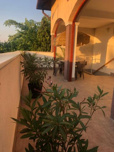  Gyöngy Panzió in Velence