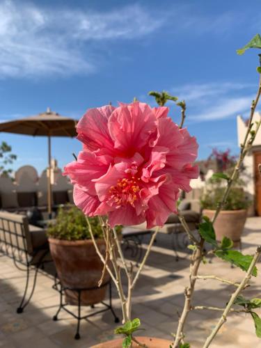 Riad la Claire Fontaine