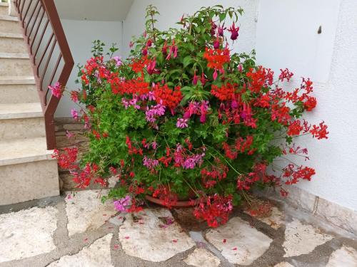 Apartment - Ground Floor image 10