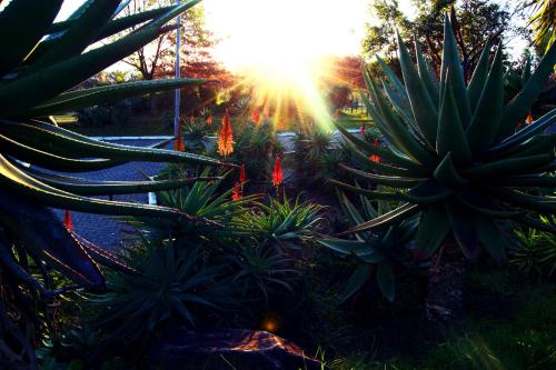 Grey Goose Game Lodge Grey Goose Game Lodge
