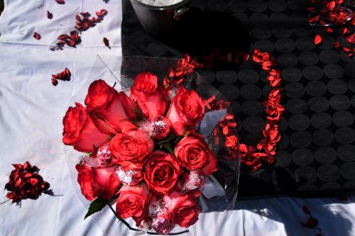 Grey Goose Game Lodge Grey Goose Game Lodge