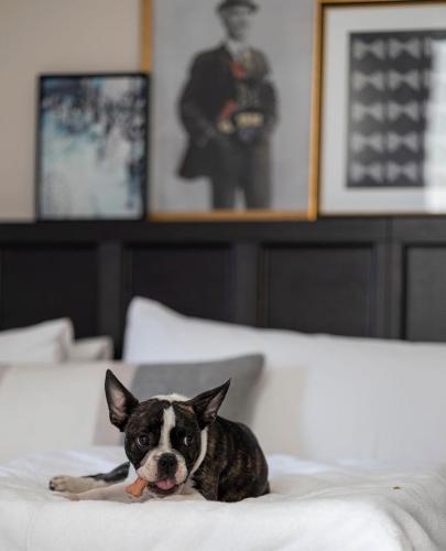 The Clift Royal Sonesta San Francisco