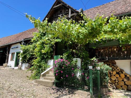 . Saschiz 130/Lodging and Glamping
