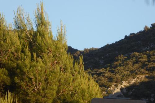 CABANE perchée dans les arbres et terrasse ensoleillée