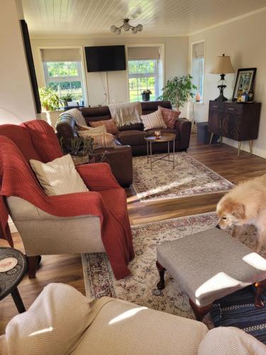 Nellies Cottage B&B in Cavan