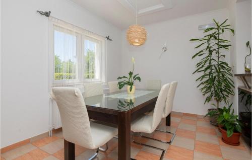 Nice Home In Vinjani Gornji With Kitchen