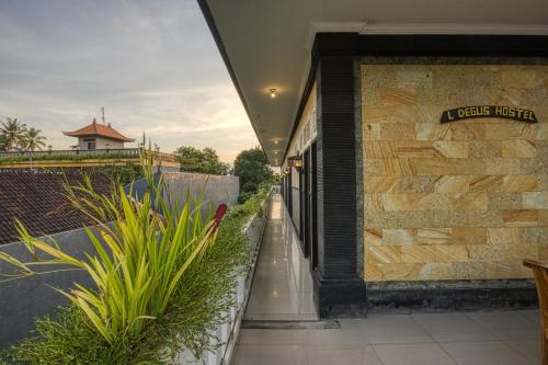 L Degus Hostel Bali