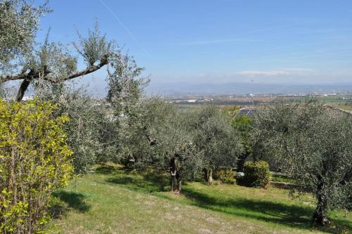  LA CASA TRA GLI OLIVI in Sona