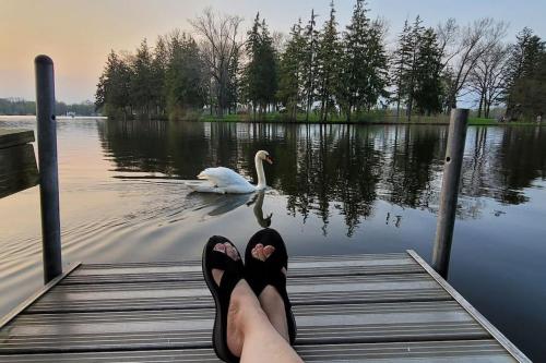Large 1 BR Cottage, KING BED on the Lake in Paw Paw, USA