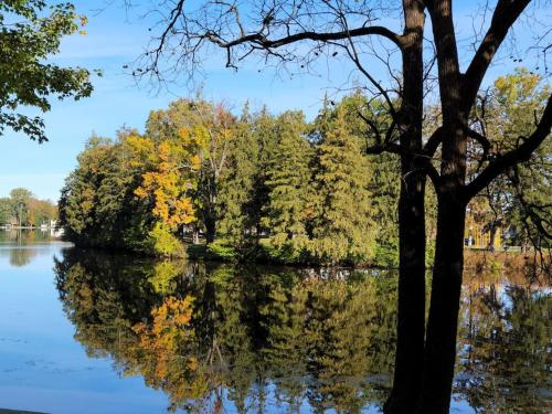 Large 1 BR Cottage, KING BED on the Lake in Paw Paw, USA