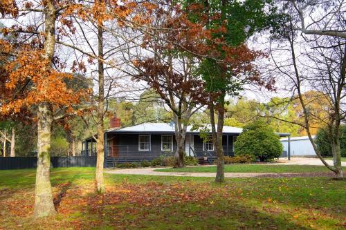 Maple Tree House