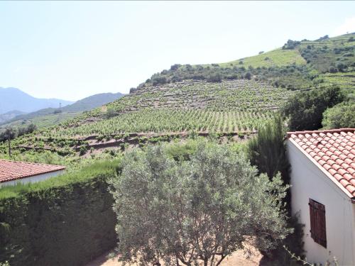 Villa Banyuls-sur-Mer, 4 pièces, 6 personnes - FR-1-309-332