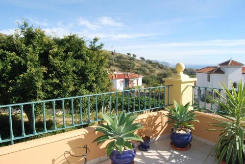 Apartment with Garden View image 4