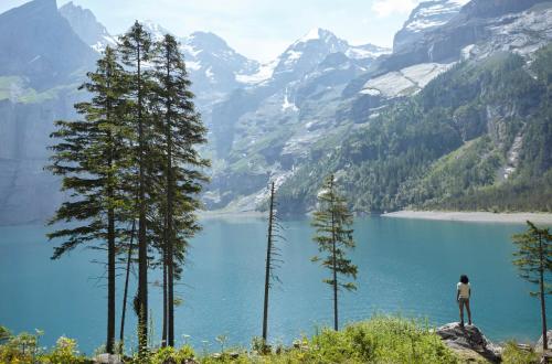 The Cambrian in Adelboden