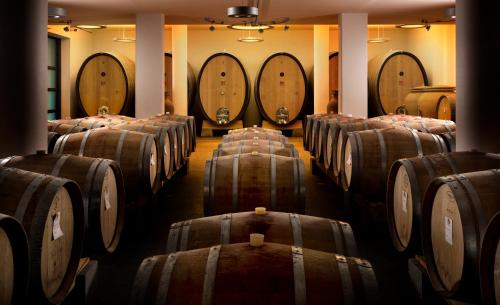 Roccafiore Spa & Resort - image 12