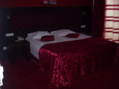 Hotel Sydney - image 2
