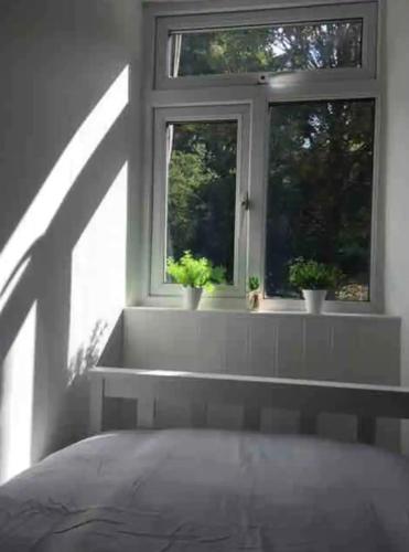 A woodland retreat - Apartment in converted mill A woodland retreat - Apartment in converted mill