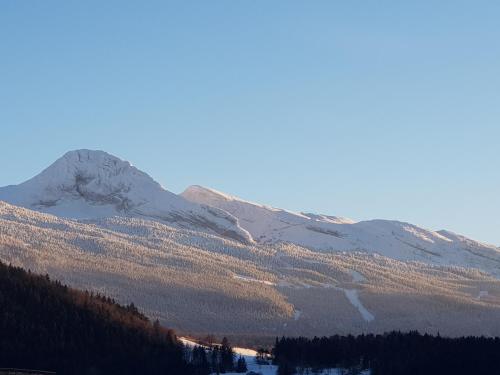 La Roseraie - main image