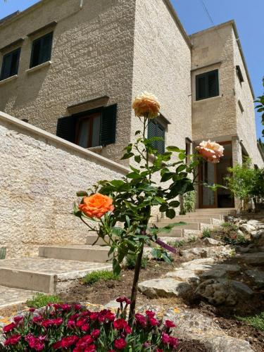 La Villa Del Senatore - Accommodation - Gravina in Puglia