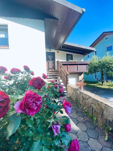 Apartma KAMNITNK 1