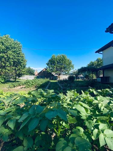 Apartma KAMNITNK 3