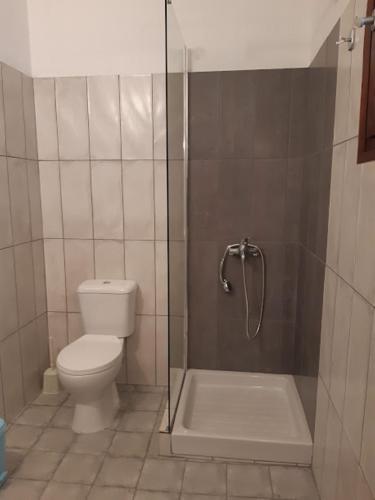 One-Bedroom Apartment image 10