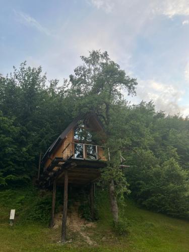Camp Rabrenović - image 4