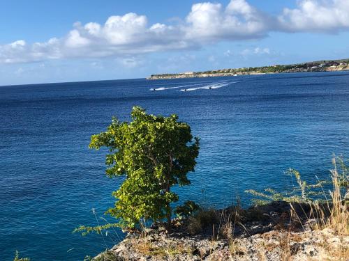 Marazul Dive Resort. 3 Bedroom Seafront House. Dive, Snorkel, enjoy amazing sunsets