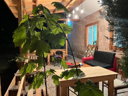 Iekārtas, 90m² 1 guļamistaba, 1 privāta vannas istaba Māja Sevan
 (Lake Sevan HOSTEL) in Sevan