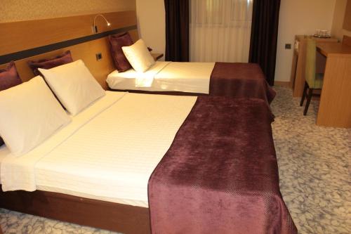 Hotel Osaka Airport, Istanbul (foto 4)