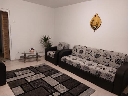 . Apartament Ioana